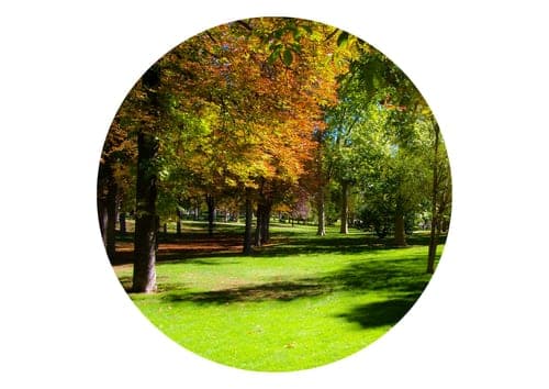Parque La Moya